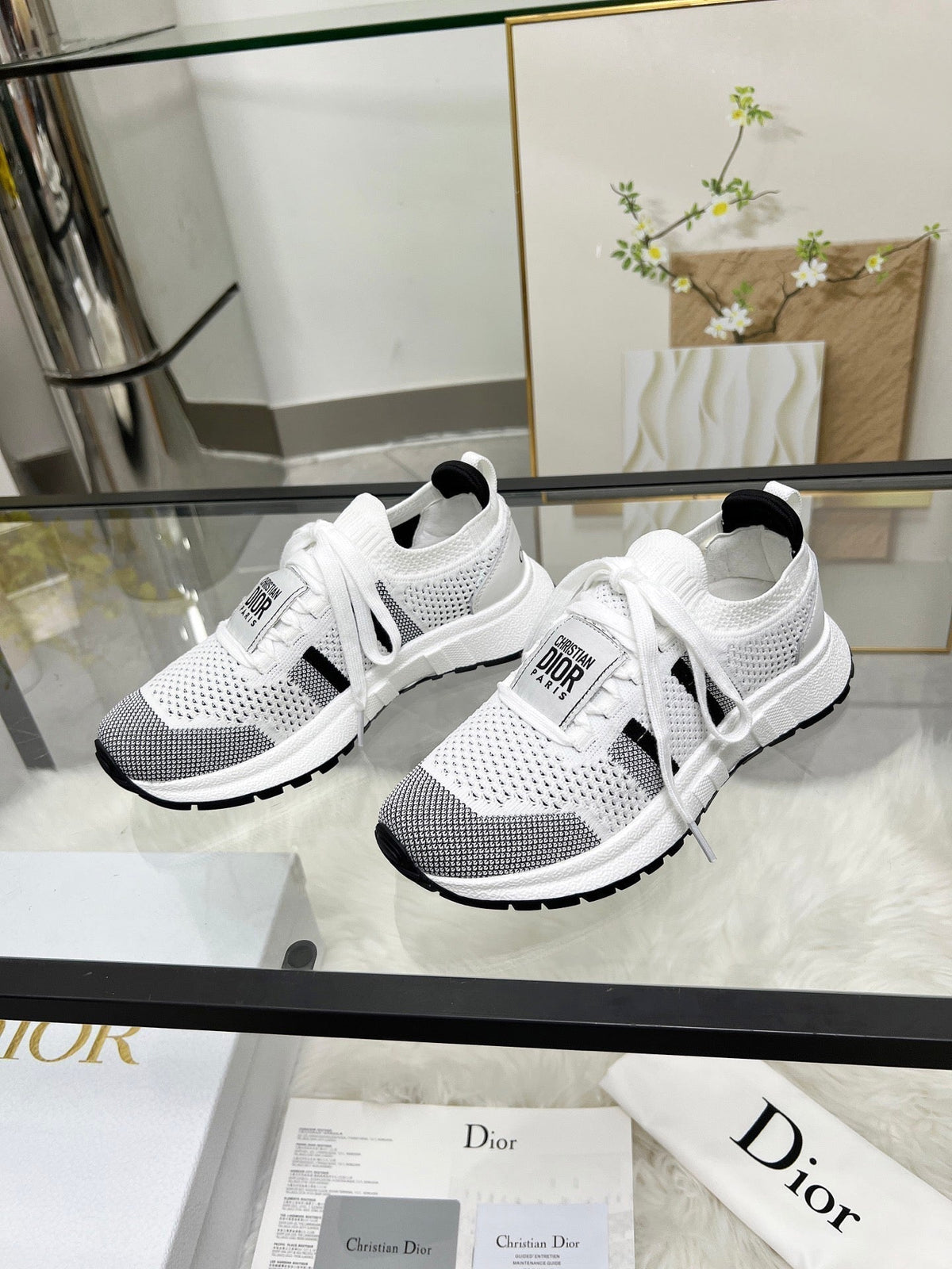 Dior Walk'N' Sneakers in White and Black Mesh