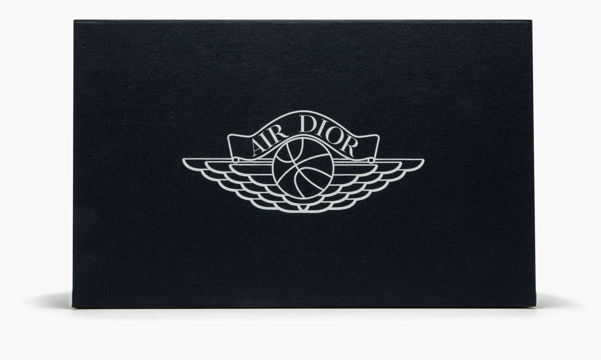 Air Jordan 1 Low Dior Sneakers