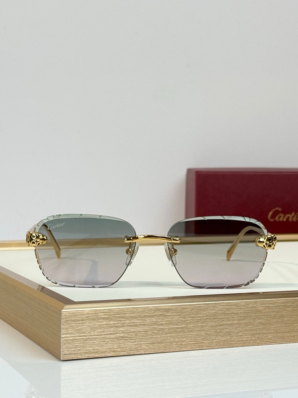 Cartier CT7450S Sunglasses